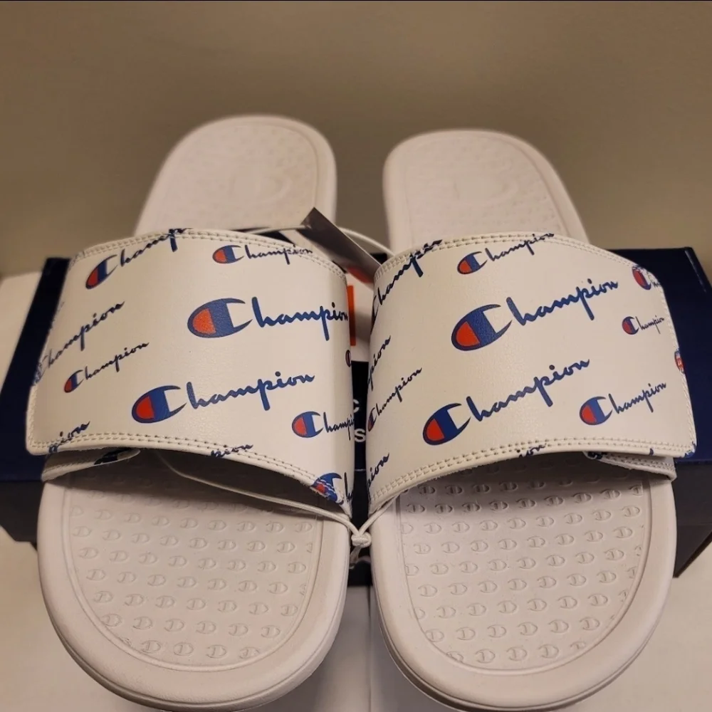 Champions Slides - Picture 1 of 6